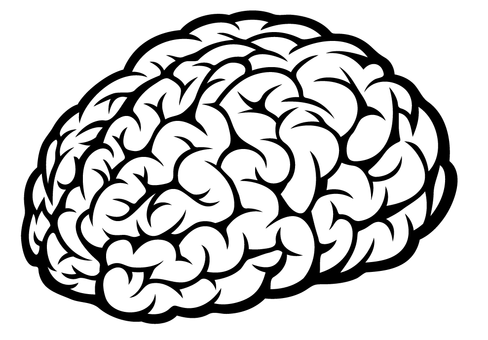 Brain 55. Векторный мозг. Мозг черно белый. Мозг раскраска.
