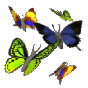 Animated Butterfly Clipart