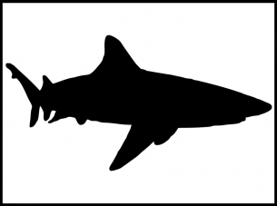 Printable Stencils Shark