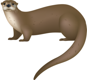 Best Otter Clipart #3725 - Clipartion.com