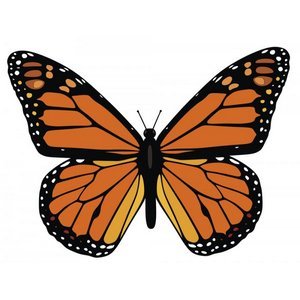 MonarchButterfly.jpg