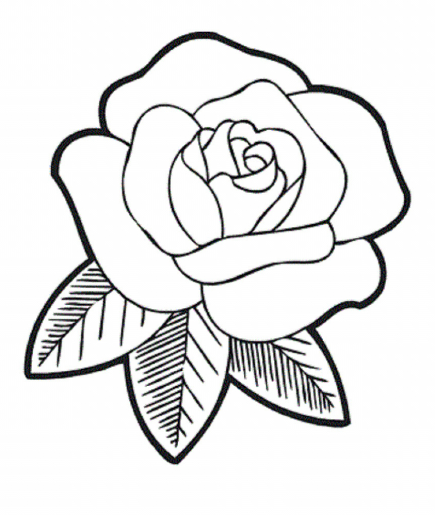 Rose Drawing For Kids - Drawing Art Gallery