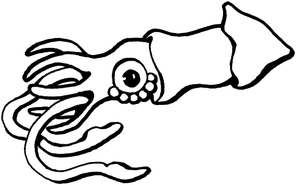 Octopus Outline
