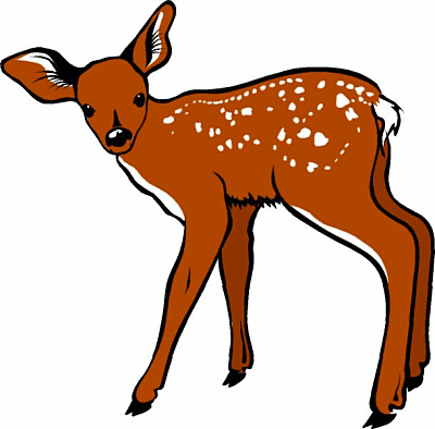 Free Deers Clipart. Free Clipart Images, Graphics, Animated Gifs ...