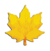 Fall Leaf Stencil Vector - Download 1,000 Vectors (Page 1)