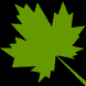 Green_leaf_falls.gif