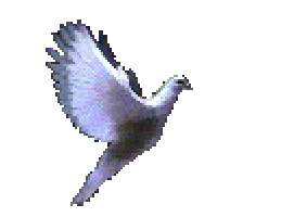 Sticker Flying GIFs on Giphy