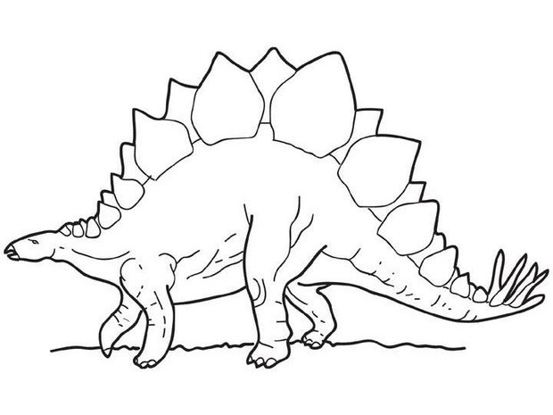 Stegosaurus coloring page