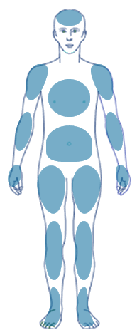 human body