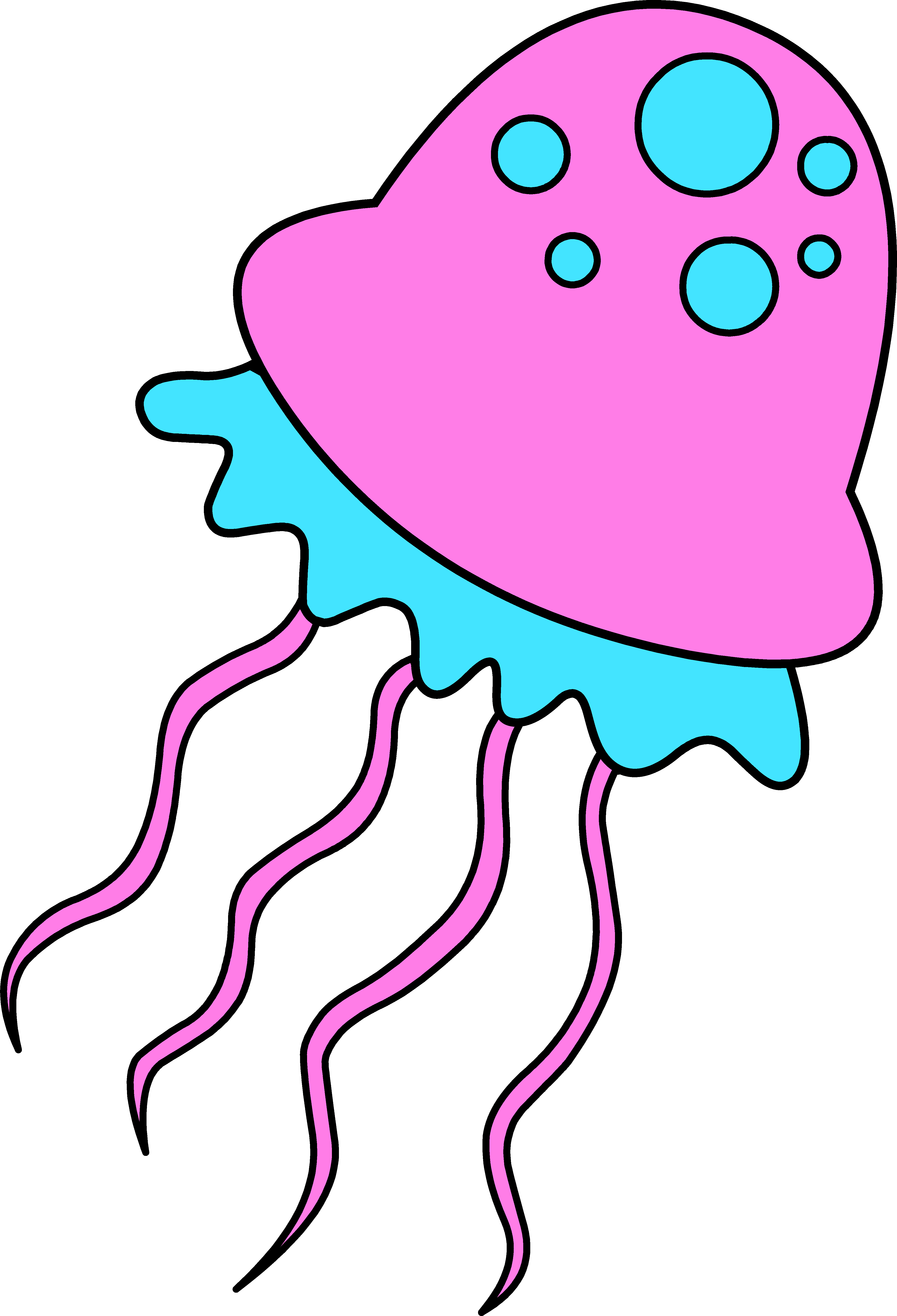 jelly fish