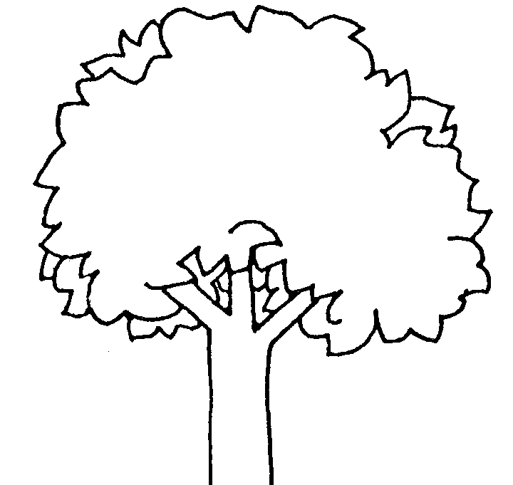 Oak Tree Outline - AZ Coloring Pages