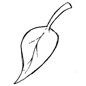 Fall Leaf Clipart Black And White - Free Clipart ...