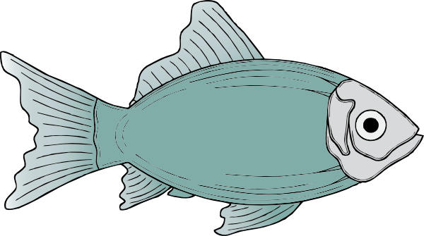 Catfish Sketch - ClipArt Best