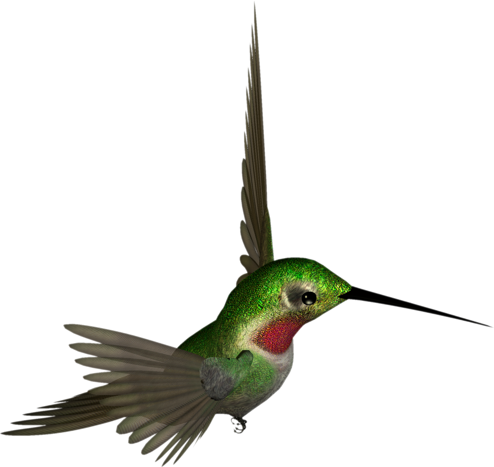 Clip Art Hummingbird