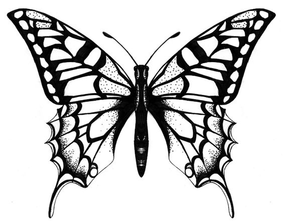 Tattoo drawings, Logos and Butterfly tattoo designs