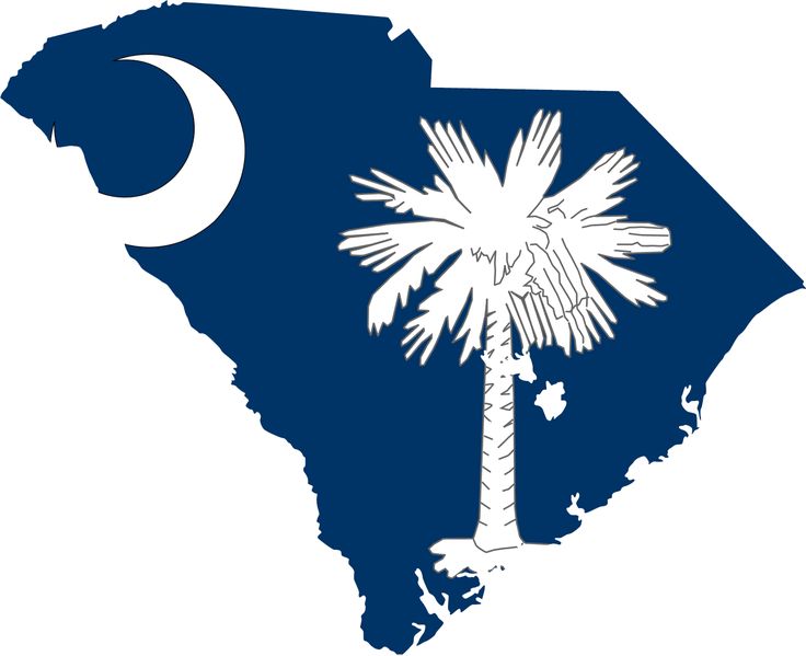 South Carolina Flag | Palmetto Moon ...