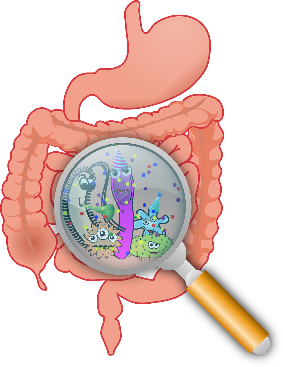 SIBO (Small Intestine Bacterial Overgrowth) | Dr. Lauren Deville ...