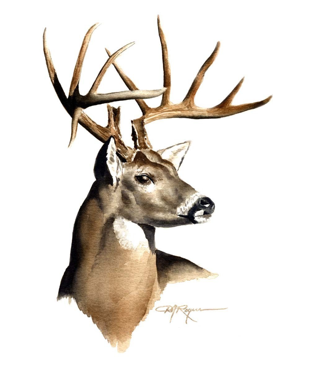 Popular items for buck art on Etsy