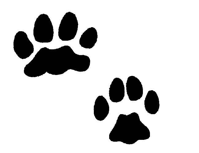 Lion Feet - ClipArt Best