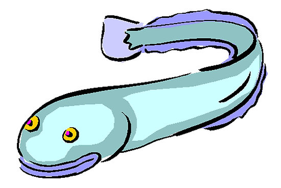 Cartoon Eel