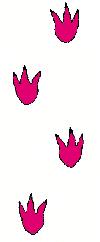 xTgprzqTA.gif