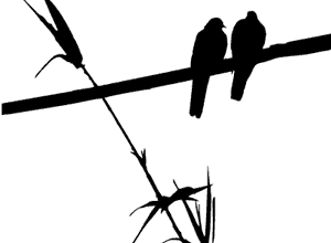 Freebie Fridays: Free Vectors and Graphics Ruffled