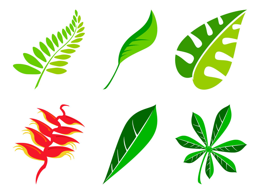 Fern Clip Art