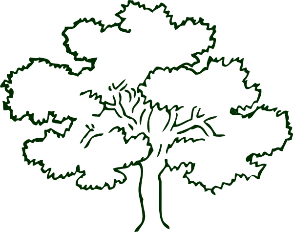 Dogwood Tree Drawing