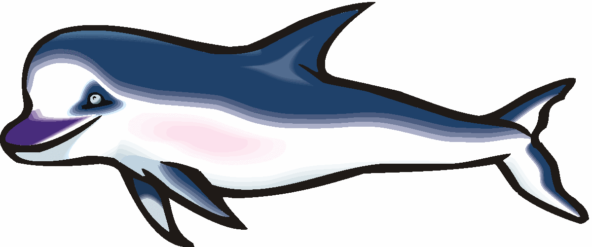 Dolphins Clip Art