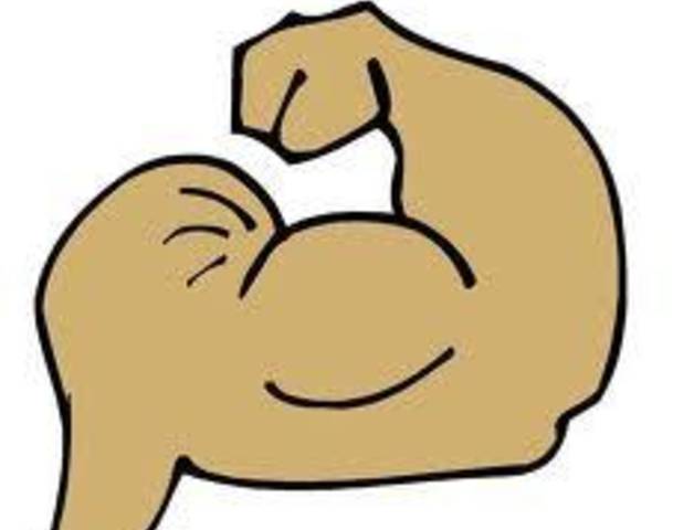 Muscle Clipart