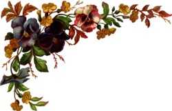 Pansy Border Clipart