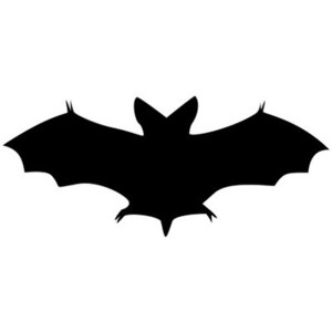 Free Halloween Clip Art Bat - Polyvore