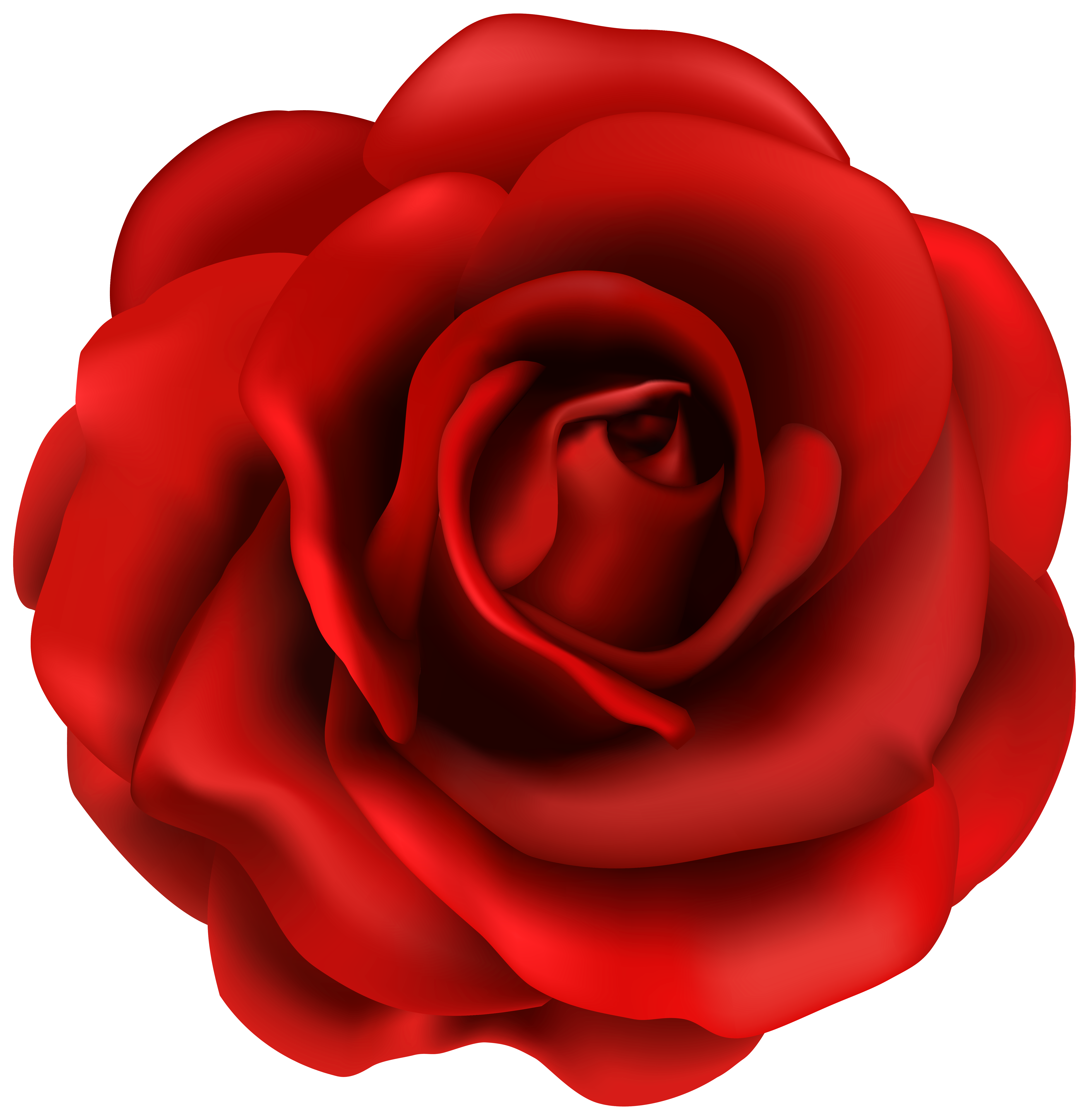 Rose flowers clipart - Cliparting.com