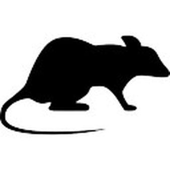 Rat Vectors, Photos and PSD files | Free Download