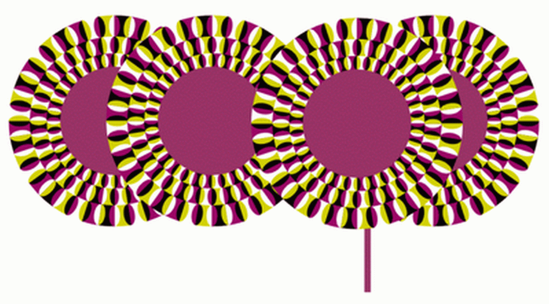 Moving Eye Illusions