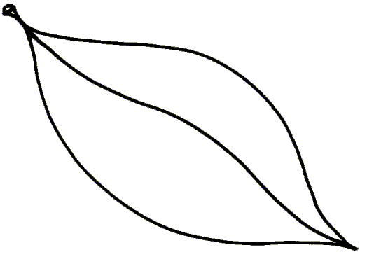 Template Of A Leaf. leaf outline template clipart best. leaf ...