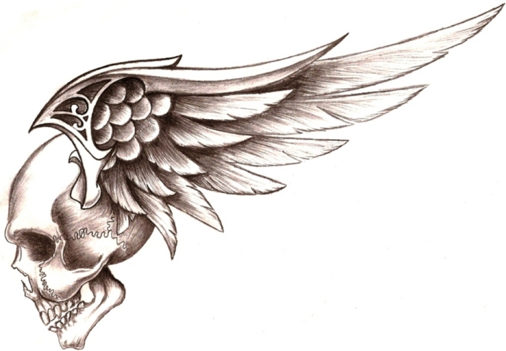 Skull With Angel Wings - ClipArt Best