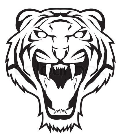 Tiger Face Drawing | Pencil Drawing ...