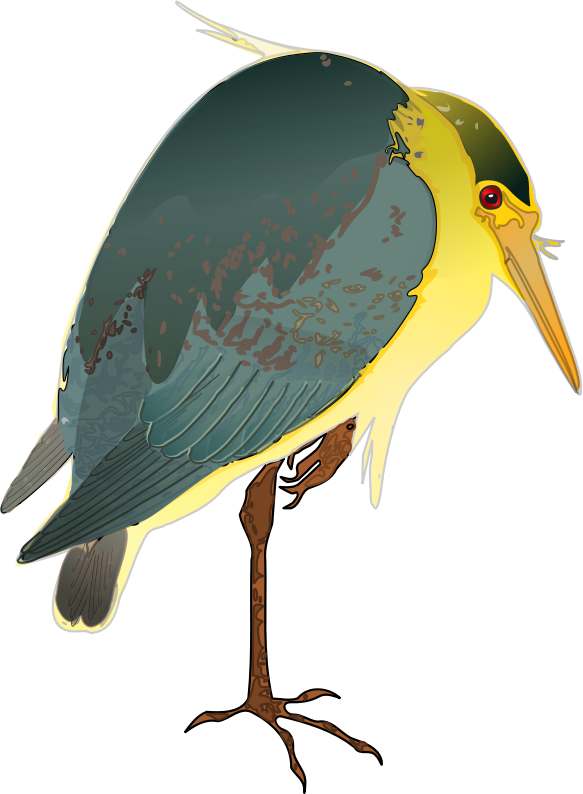 Free Night Heron Clip Art