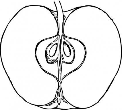 Apple Clipart Drawing