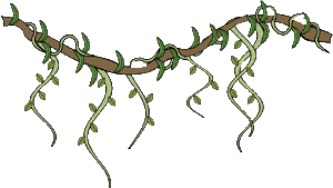 Jungle vine border clipart - ClipartFox