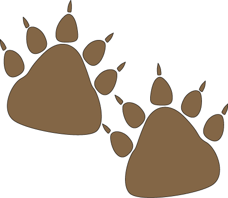 Grizzly Bear Paw Print Clipart