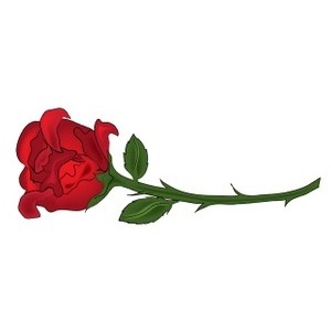 Long stem red rose clipart