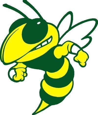 1000+ images about Hornet logo