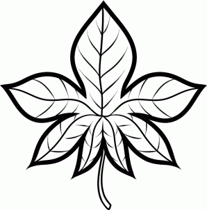 Trees - How to Draw an Autumn Leaf