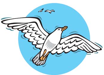 Seagulls Clipart | Free Download Clip Art | Free Clip Art | on ...