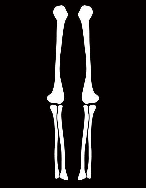 Skeleton arm clipart