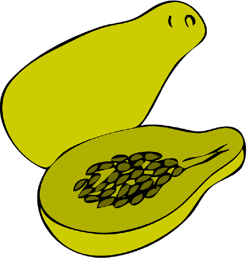 Free pictures PAPAYA - 22 images found