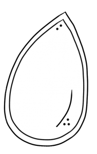 Pumpkin Seed Clipart