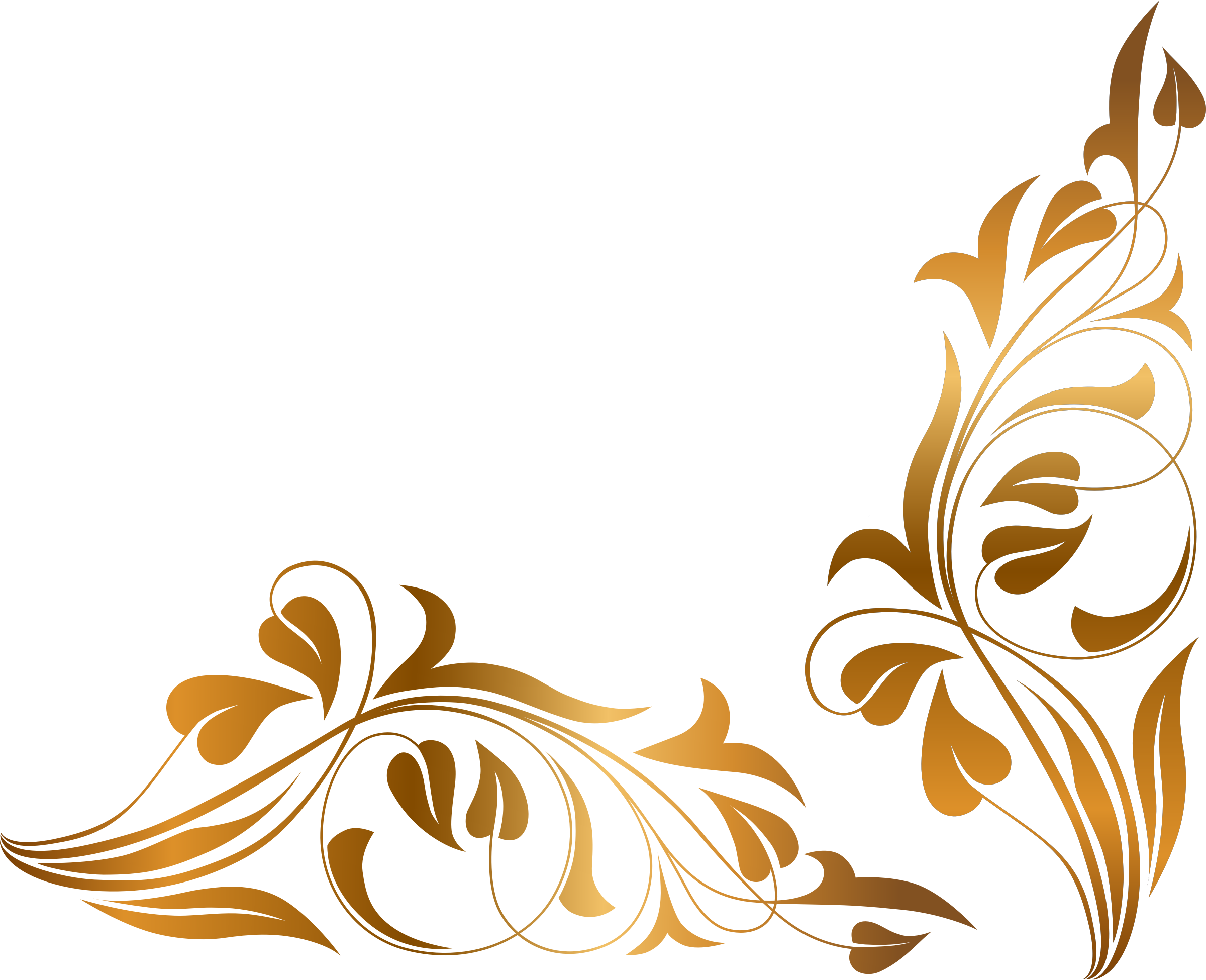 Floral PNG Transparent Images | PNG All